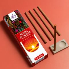 Rudra Parakram Dhoop Sticks (Pack of 2 Units)