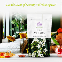 Pure Mogra(Pack of 6)