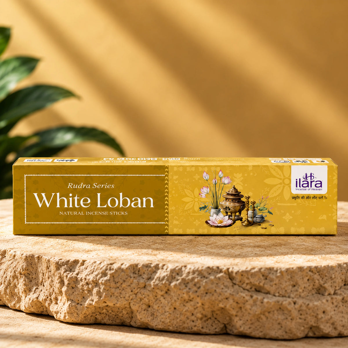 White Loban Premium Incense Sticks – 100g Pack | Rich Frankincense & Loban Fragrance | Aromatic Agarbatti for Pooja, Meditation & Home Fragrance
